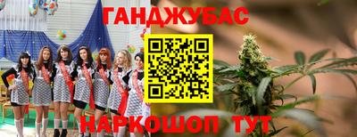 крисы Моздок