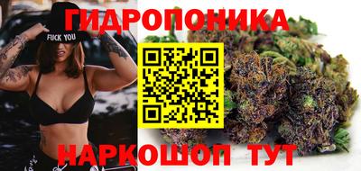 крисы Моздок