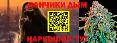 крисы Моздок