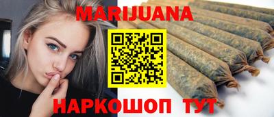 крисы Моздок