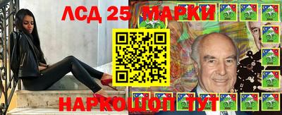 крисы Моздок