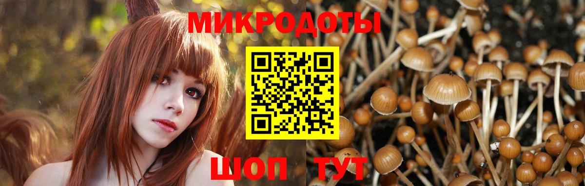 Галлюциногенные грибы прущие грибы  купить закладку  Первоуральск  Вход с VPN 