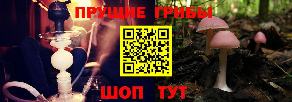 Галлюциногенные грибы Cubensis Первоуральск